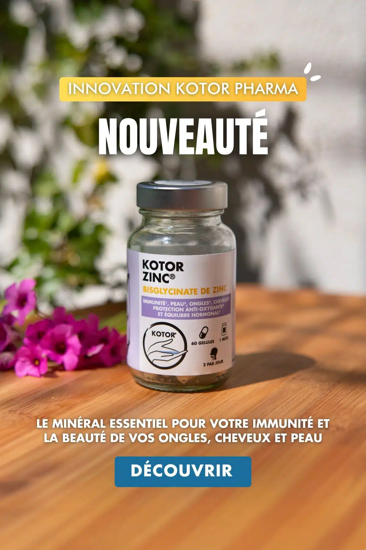 Nouveauté Kotor Zinc