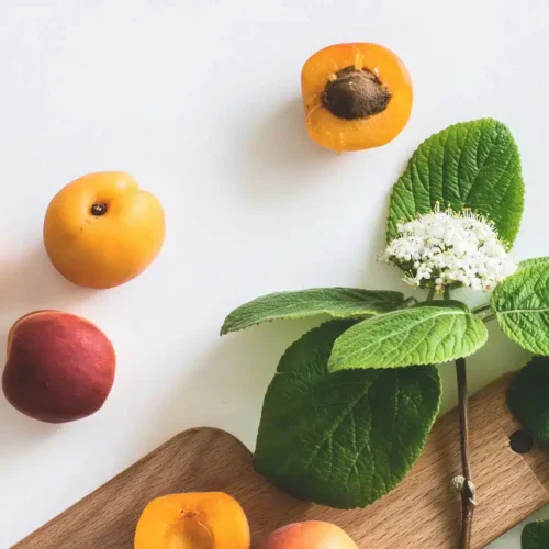 KotorPharma-Silicium